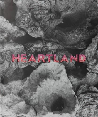 Heartland: Contemporary Art From South Australia book