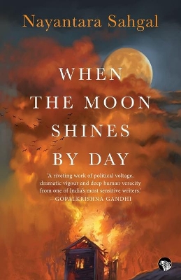 When the Moon Shines by Day book