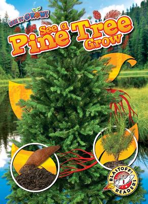 See a Pine Tree Grow book
