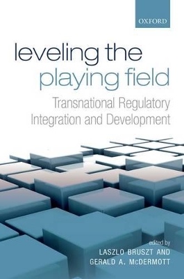 Leveling the Playing Field by Laszlo Bruszt