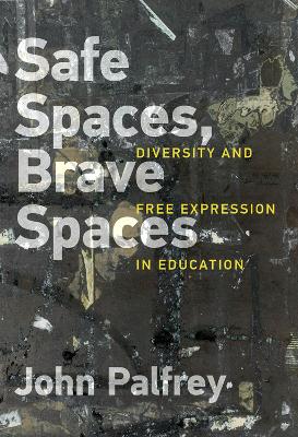 Safe Spaces, Brave Spaces by John Palfrey