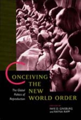 Conceiving the New World Order book