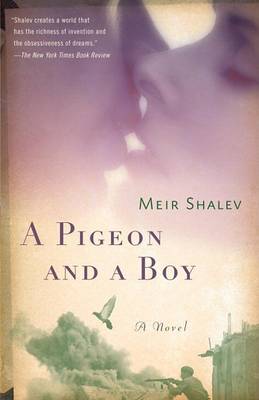 Pigeon and a Boy book