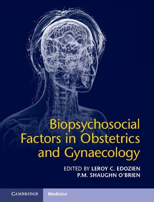 Biopsychosocial Factors in Obstetrics and Gynaecology book