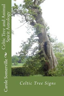 Celtic Tree and Animal Spirit Astrology: Celtic Tree Signs book