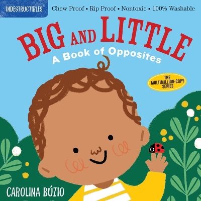 Indestructibles: Big and Little: A Book of Opposites: Chew Proof · Rip Proof · Nontoxic · 100% Washable (Book for Babies, Newborn Books, Safe to Chew) book