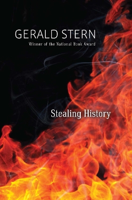 Stealing History book