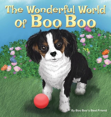 The Wonderful World Of Boo Boo book