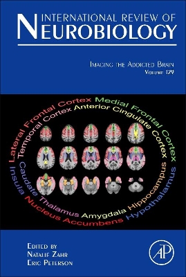 Imaging the Addicted Brain book