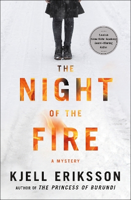 The Night of the Fire: A Mystery book