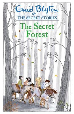Secret Stories: The Secret Forest book