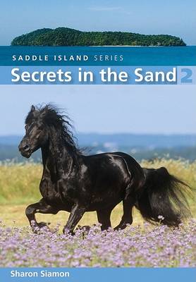 Secrets in the Sand book