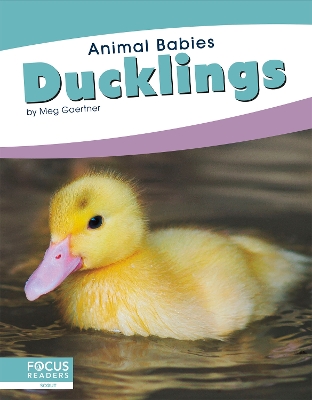 Animal Babies: Ducklings book