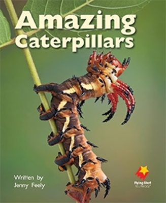 Amazing Caterpillars book