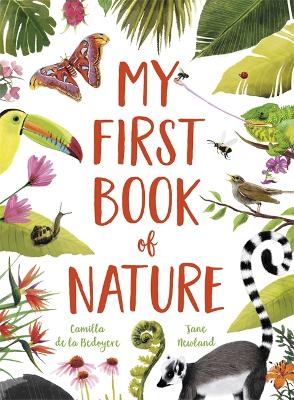 My First Book of Nature: With 4 sections and wipe-clean spotting cards by Camilla De La Bedoyere