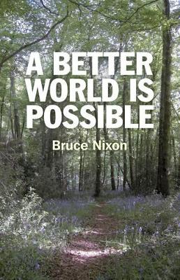 Better World is Possible, A book