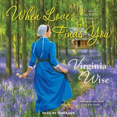 When Love Finds You by Virginia Wise