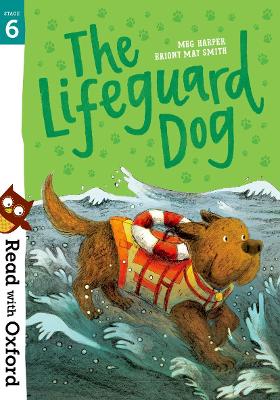 Read with Oxford: Stage 6: The Lifeguard Dog book