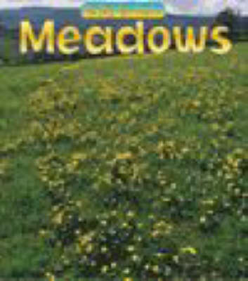 Wild Britain: Meadows and Grasslands Paperback by Louise Spilsbury