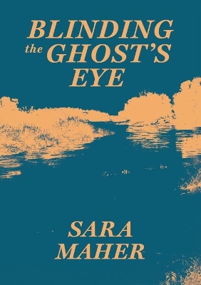 Blinding the Ghost's Eye book