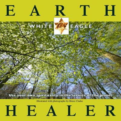 Earth Healer: Use Your Own Spirituality in the Service of the Planet book