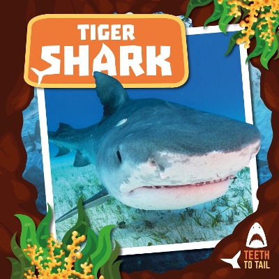 Tiger Shark: Teeth to Tail book