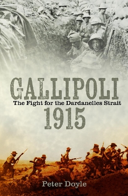 Gallipoli 1915: The Fight for the Dardanelles Strait book