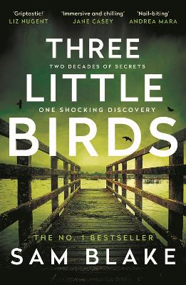 Three Little Birds: 'The modern-day Agatha Christie' Steve Cavanagh book