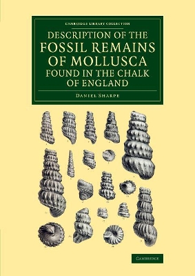 Description of the Fossil Remains of Mollusca Found in the Chalk of England book