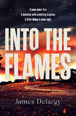 Into the Flames: The scorching new summer thriller by James Delargy