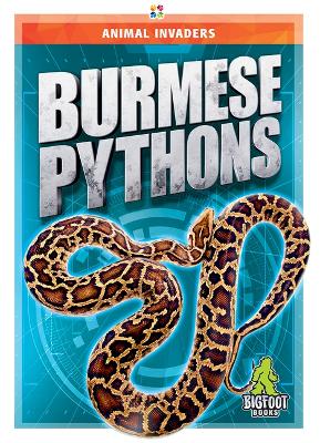Animal Invaders: Burmese Pythons book