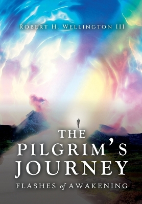 The Pilgrim's Journey: Flashes of Awakening book