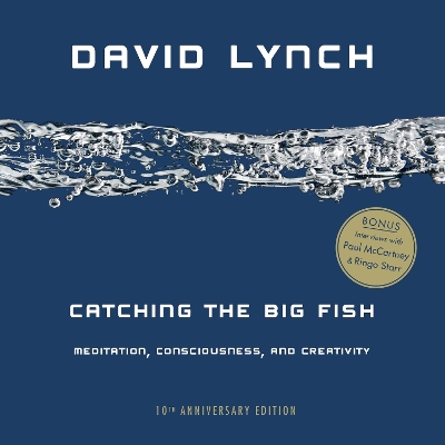 Catching the Big Fish book