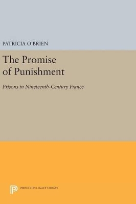 Promise of Punishment book