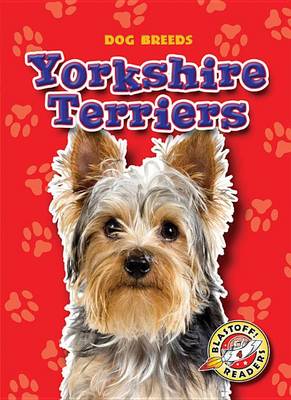 Yorkshire Terriers by Sara Green
