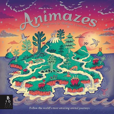 Animazes book