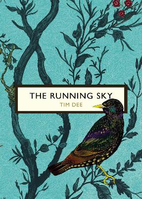 Running Sky (The Birds and the Bees) book