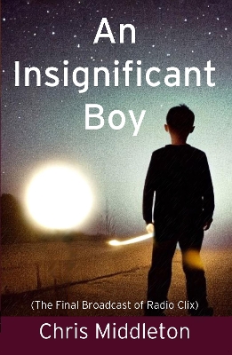 An Insignificant Boy book