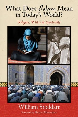 What Does Islam Mean in Today's World? book