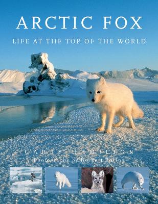 Arctic Fox: Life at the Top of the World book