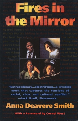 Fires In The Mirror book