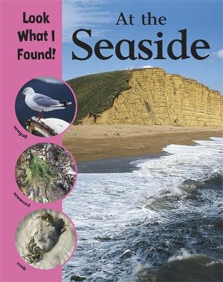 Look What I Found!: At The Seaside book