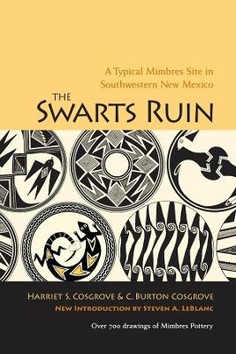 Swarts Ruin book