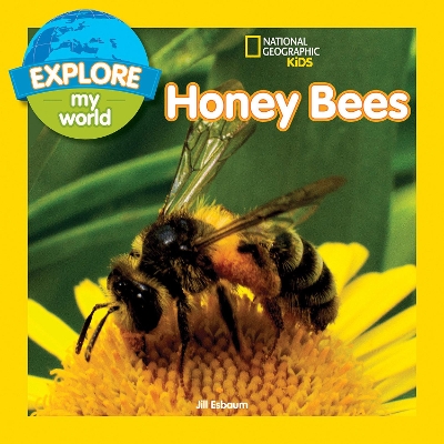 Explore My World Honey Bees book