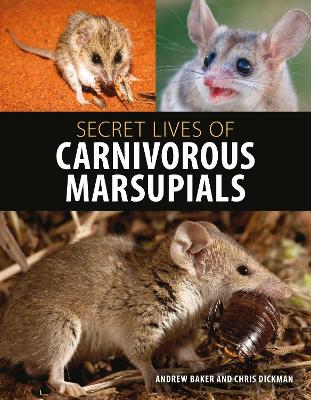 Secret Lives of Carnivorous Marsupials book