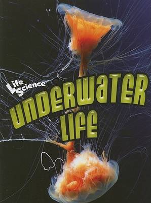 Underwater Life book