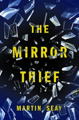 Mirror Thief book
