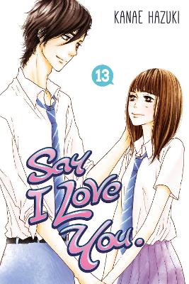 Say I Love You Vol. 13 book
