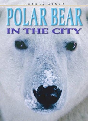 Why Don't Polar Bears Freeze? book