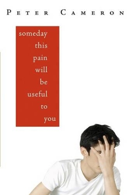 Someday This Pain Will Be Useful To You book